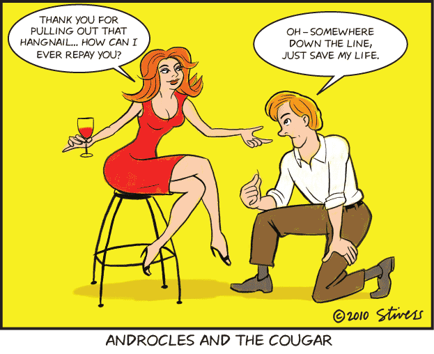 Androcles and the cougar