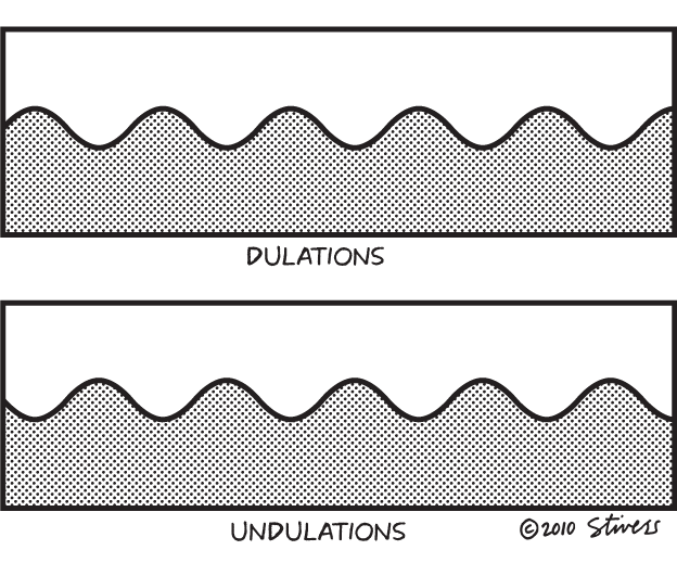 Undulations