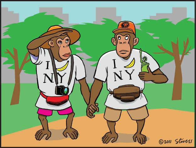 Chimp tourists