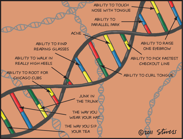 DNA