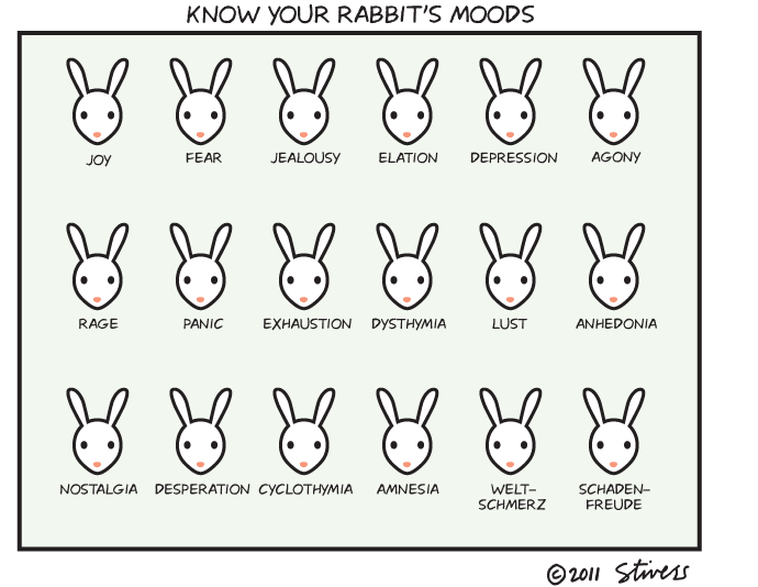 Rabbit moods