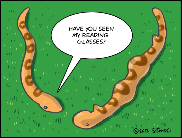 Have you seen my reading glasses?