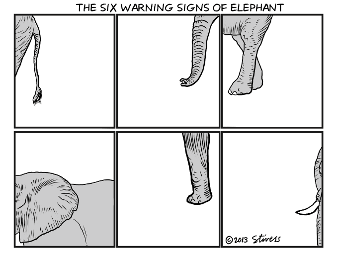 The six warning signs of elephant