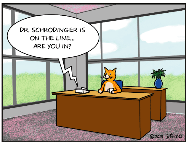 Schrodinger’s cat