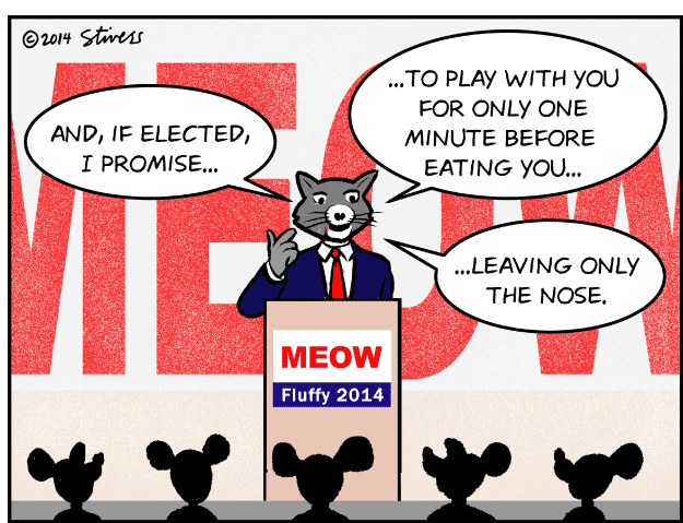 Cat campaign speech