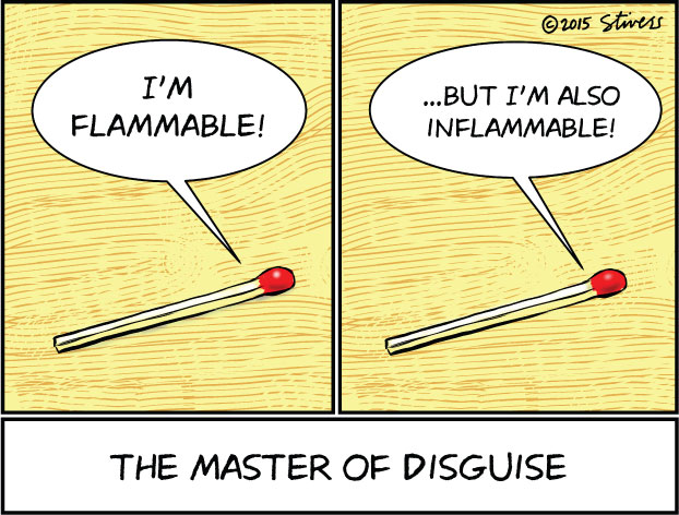 Flammable/inflammable