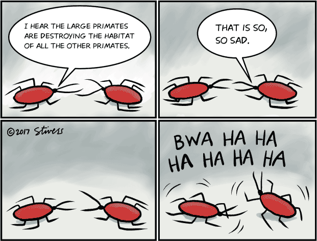 Two cockroaches