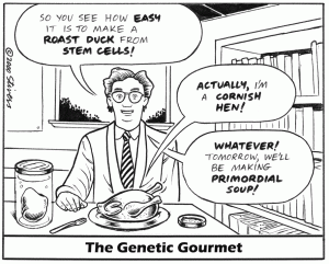 2000-08-Genetic-gourmet