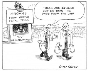 1999-05-organs-from-farm-st